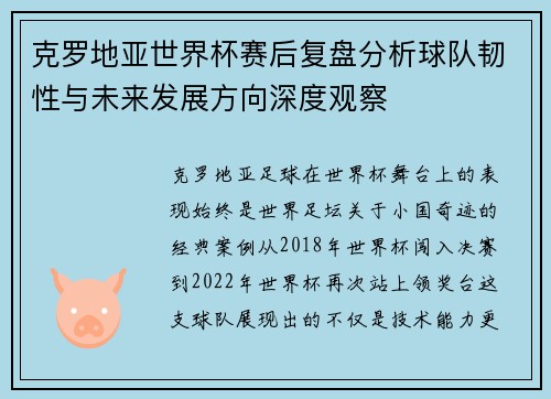 克罗地亚世界杯赛后复盘分析球队韧性与未来发展方向深度观察